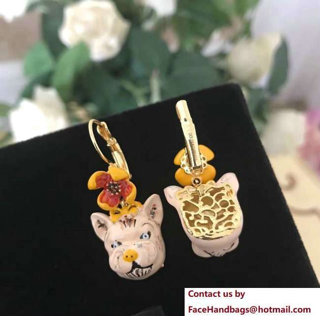 Dolce  &  Gabbana Pendant Earrings 01 2018